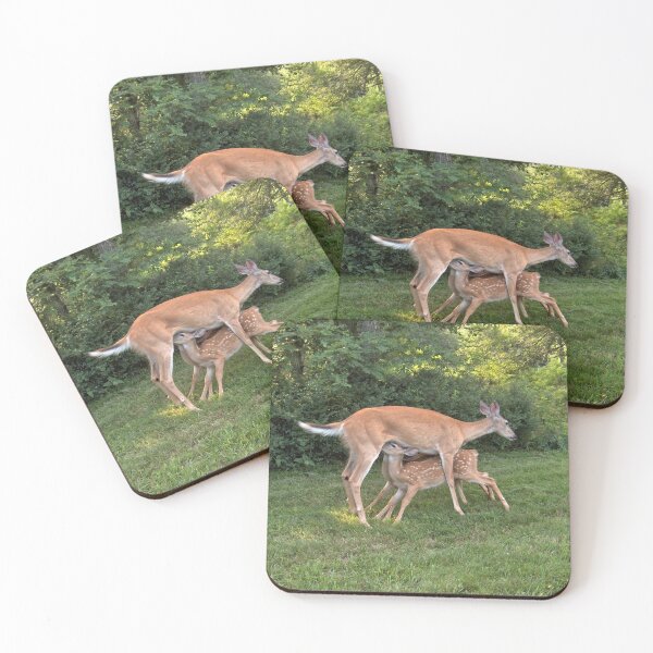 Item preview, Look Closely... designed and sold by DonnaM.