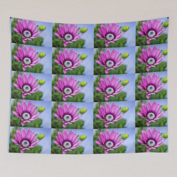 Item preview, Cape Daisy. designed and sold by John Ray.