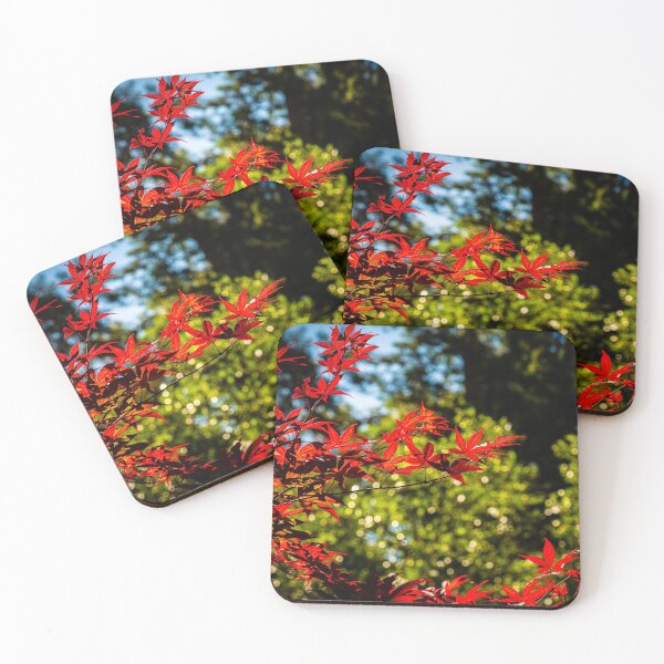 Item preview, Japanese Maple in Sunshine designed and sold by Margan  Zajdowicz.