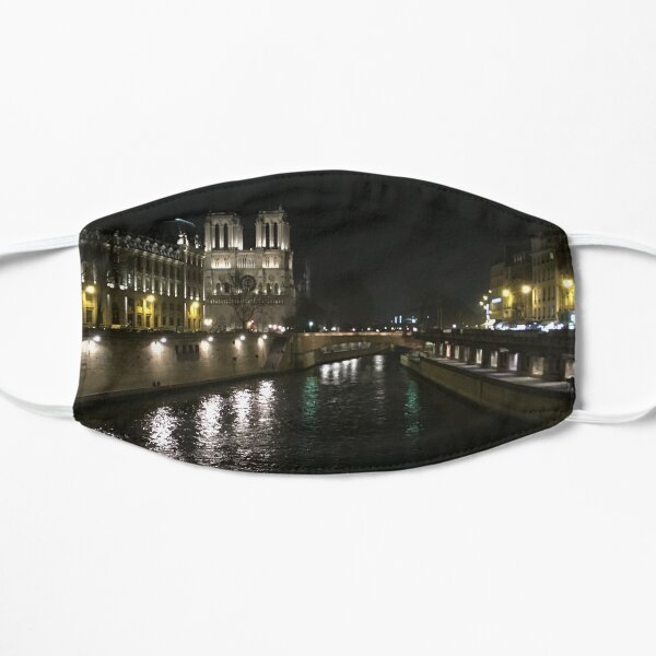 Notre Dame One Week Before the Fire Mask