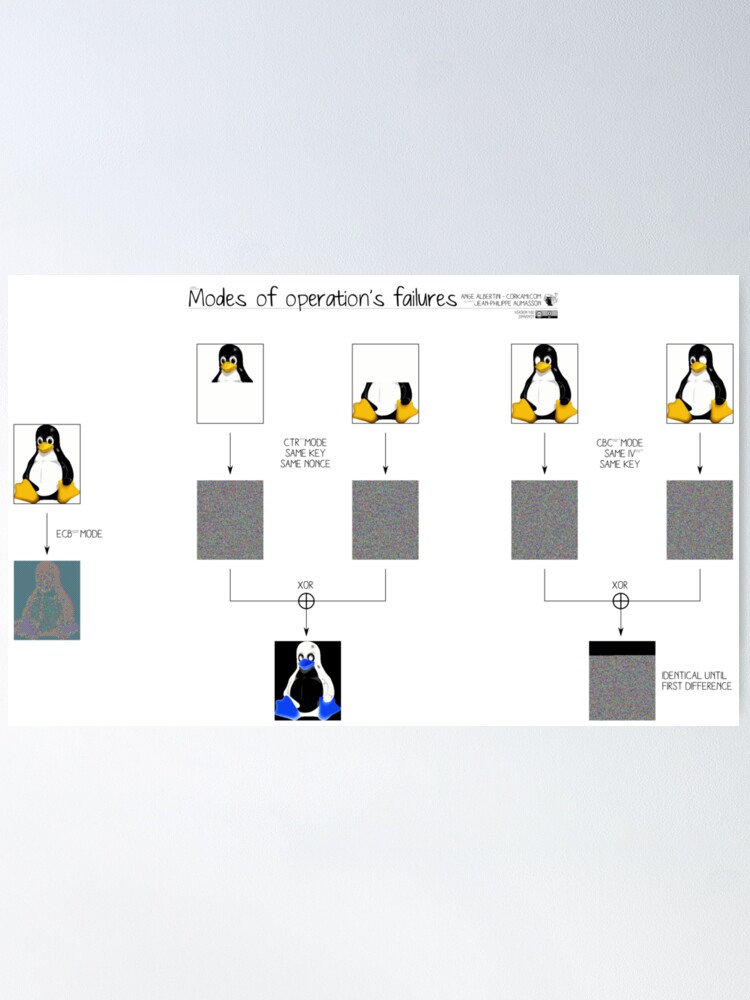 Alternate view of When cryptographic functions go bad Poster