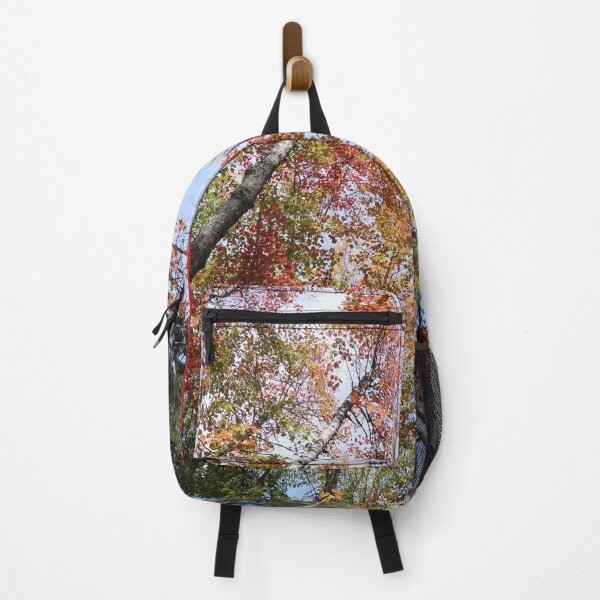 Item preview, Pearing through the Autumn leaves on the Appalachian Trail, 2018 designed and sold by Joshua Sweeney.