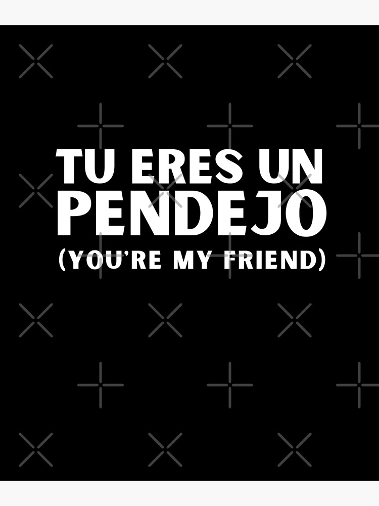 "Tu eres un pendejo, You are my friend, Sarcastic Spanish Saying, Tu