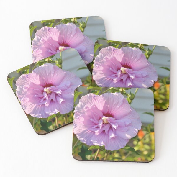 Item preview, Hibiscus flower designed and sold by Fiveladiesart.