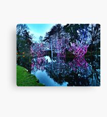Time Travel Canvas Print
