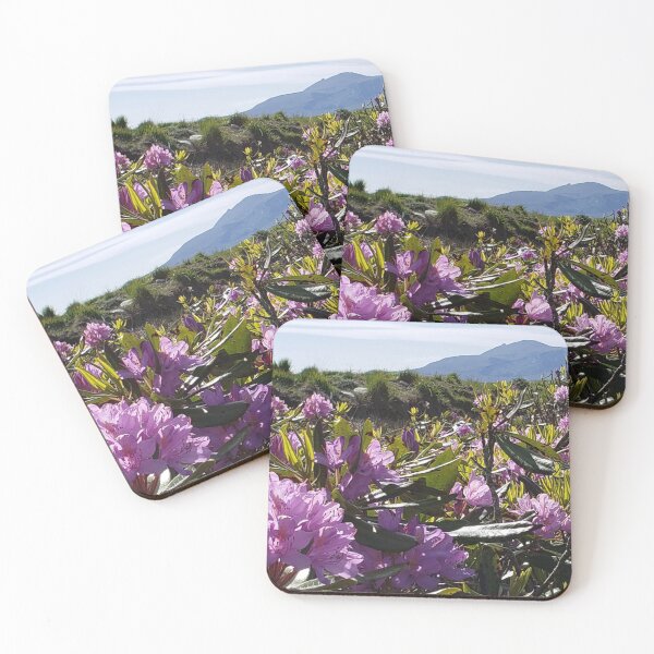 Item preview, Wildflowers on Achill Island, Ireland designed and sold by Primal Frog.