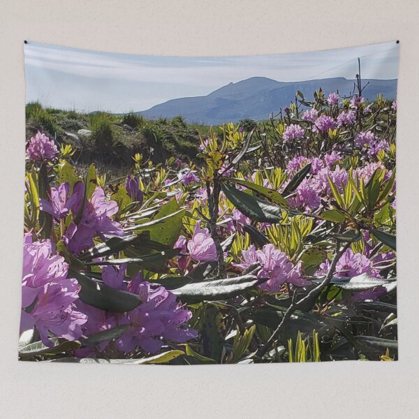Item preview, Wildflowers on Achill Island, Ireland designed and sold by Primal Frog.