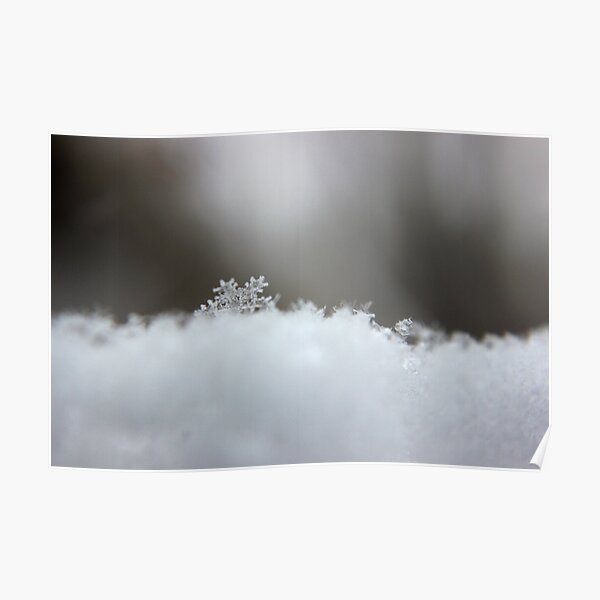 Snowflake Poster