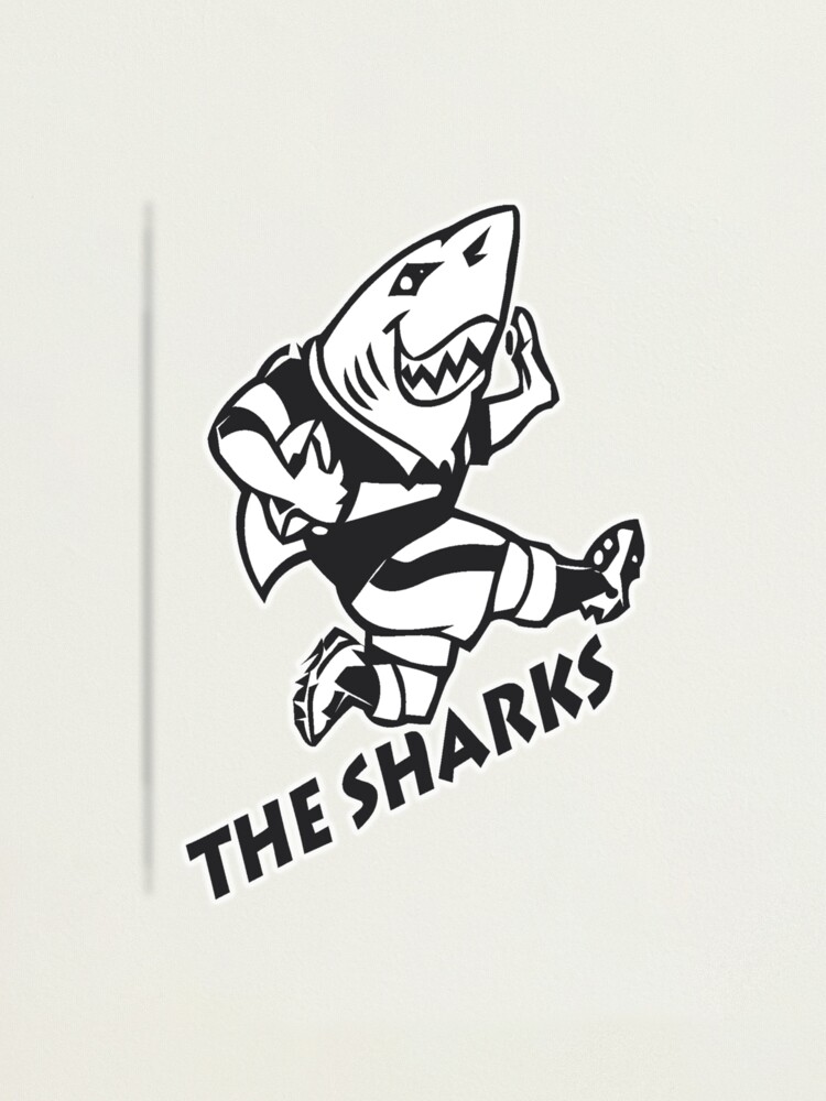 Alternate view of NATAL SHARKS FOR DARK SHIRTS SOUTH AFRICA RUGBY SUPER RUGBY Photographic Print