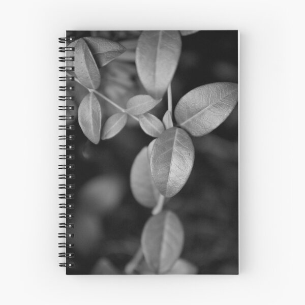 Item preview, Vines Meeting designed and sold by Tessia Photography.