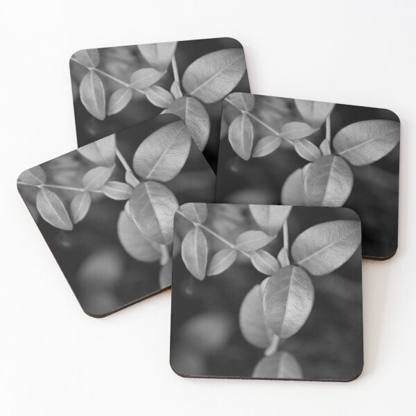 Item preview, Vines Meeting designed and sold by Tessia Photography.