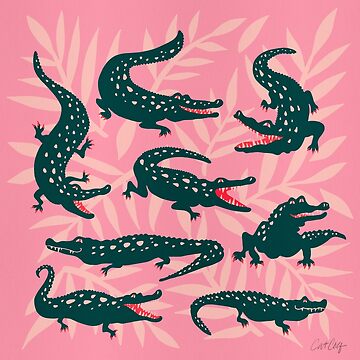 Artwork thumbnail, Alligator Collection – Pink & Teal by Cat Coquillette