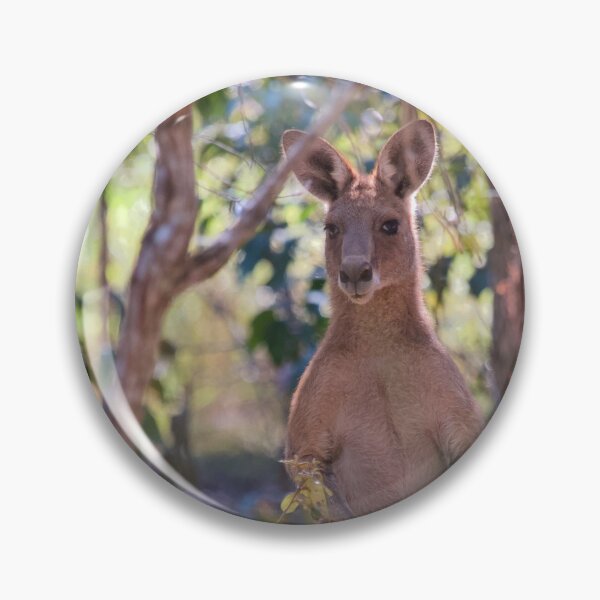 Item preview, Eastern grey kangaroo  designed and sold by MargsNaturePix.