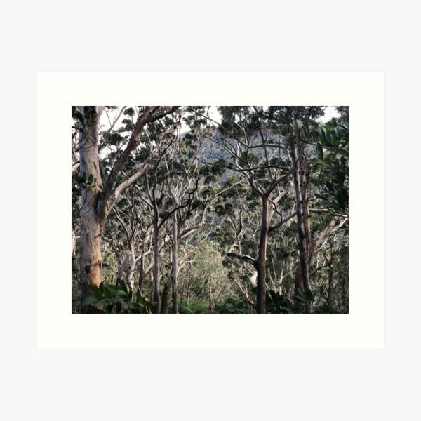 Item preview, Gum trees designed and sold by suranyami.