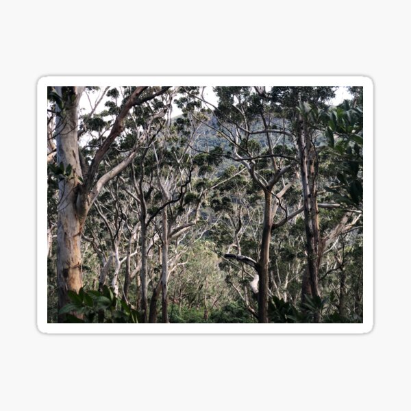 Item preview, Gum trees designed and sold by suranyami.