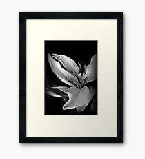 Dancing In The Dark Framed Print
