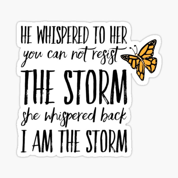 I am the Storm