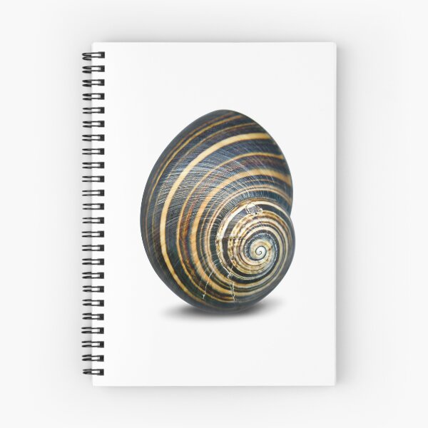 Item preview, Stay in your shell! Snail. designed and sold by Marc DEFORTESCU.