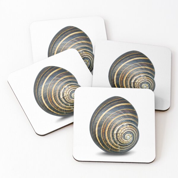 Item preview, Stay in your shell! Snail. designed and sold by Marc DEFORTESCU.
