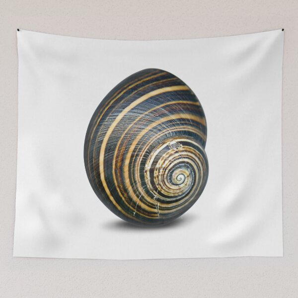 Item preview, Stay in your shell! Snail. designed and sold by Marc DEFORTESCU.