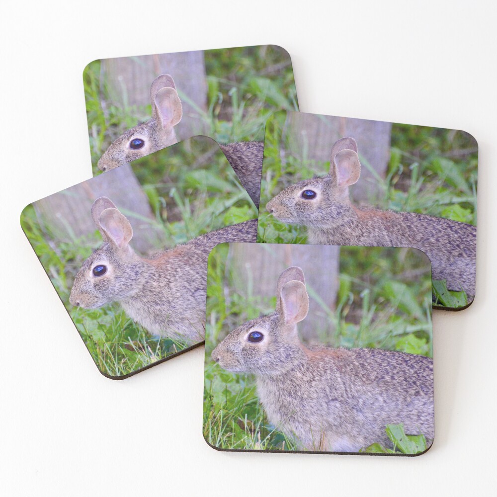 Item preview, Coasters (Set of 4) designed and sold by lisapicklepizza.
