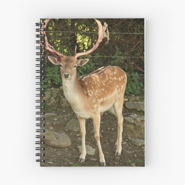 Item preview, Fallow Deer designed and sold by AnnDixon.