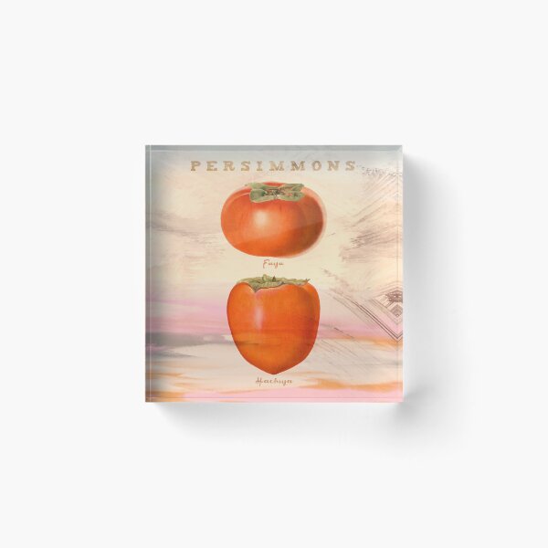 Item preview, Persimmons in Autumn designed and sold by dana-mie.