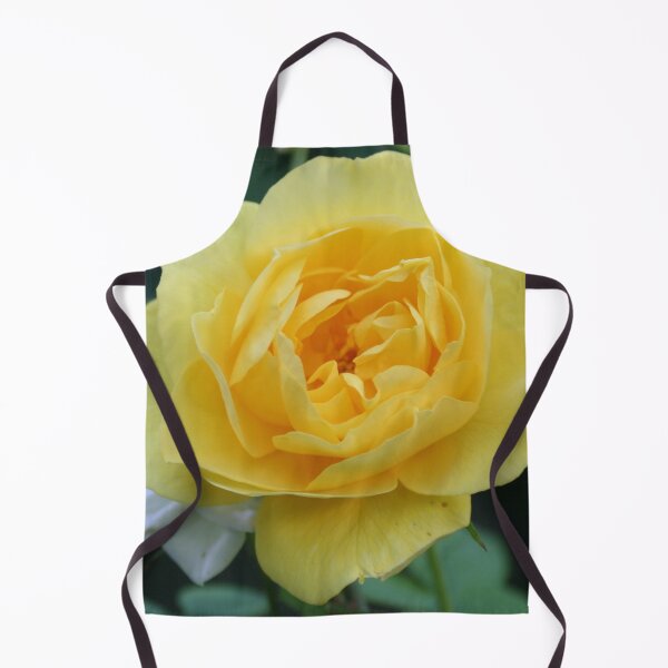 Item preview, Beautiful single yellow garden rose flower macro designed and sold by Anna Lemos.