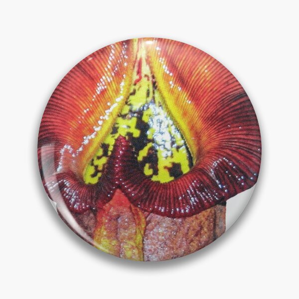 Item preview, Nepenthes Pitcher Plant designed and sold by Abe Hasner.