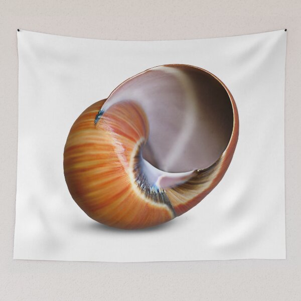 Item preview, The snails hide a wild animal soul ready to pounce. designed and sold by Marc DEFORTESCU.