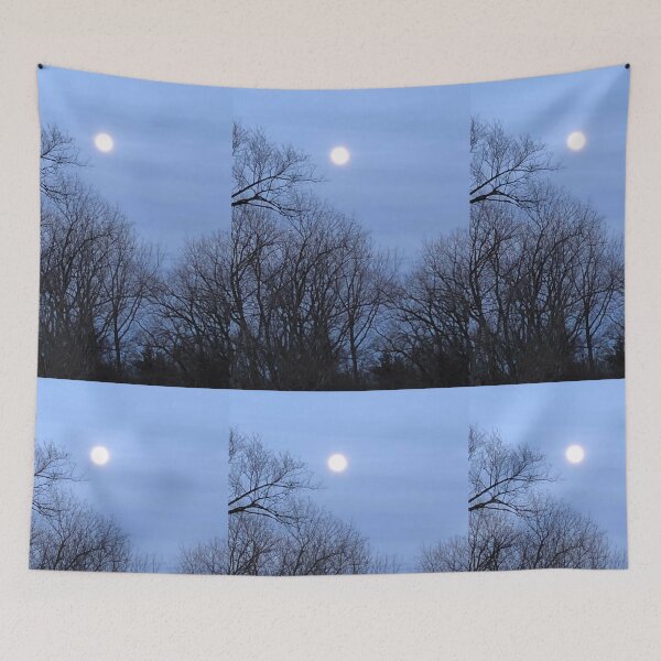Item preview, Full Moon Blue Sky designed and sold by Kaushal Pal.