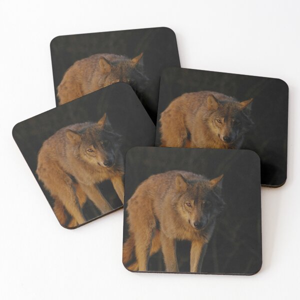 Item preview, Wolf at Golden Hour designed and sold by Amber Graham (grahamedia).