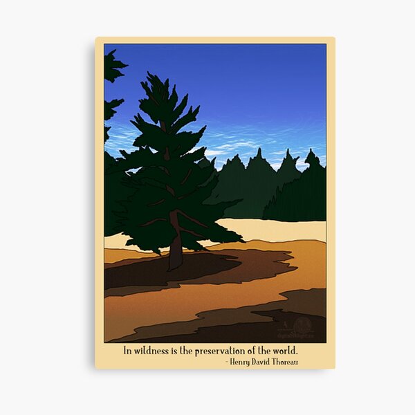 Lone Pine Canvas Print