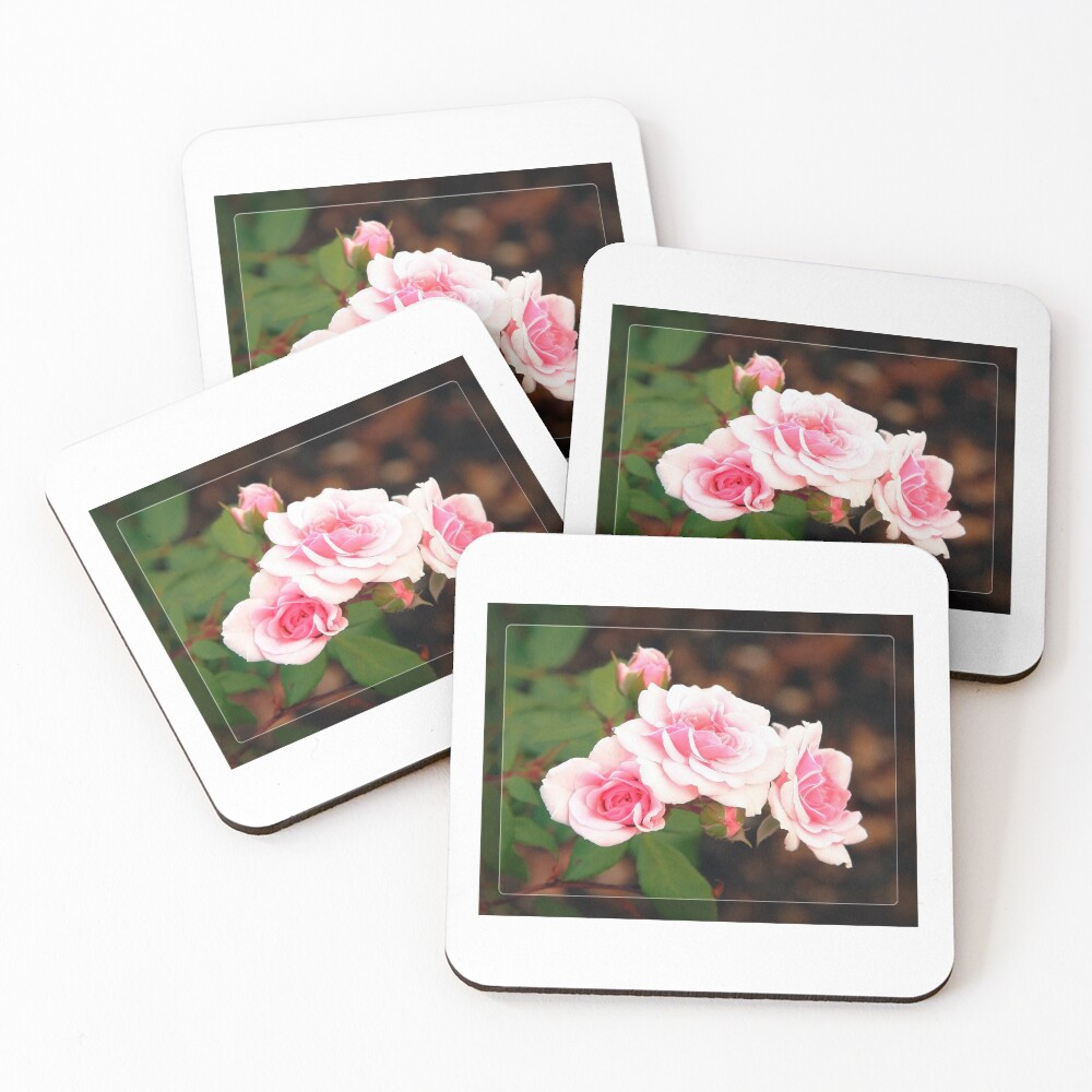 Item preview, Coasters (Set of 4) designed and sold by 31images.