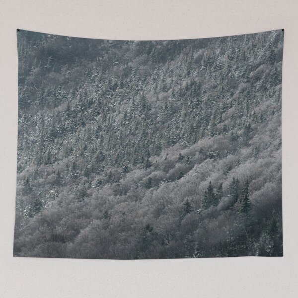 Item preview, Snowy Forests and Mountains designed and sold by Skywalker115959.