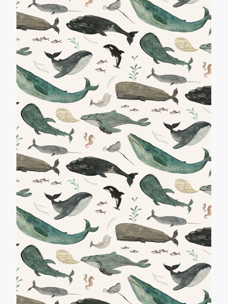 Whale Song by katherineq