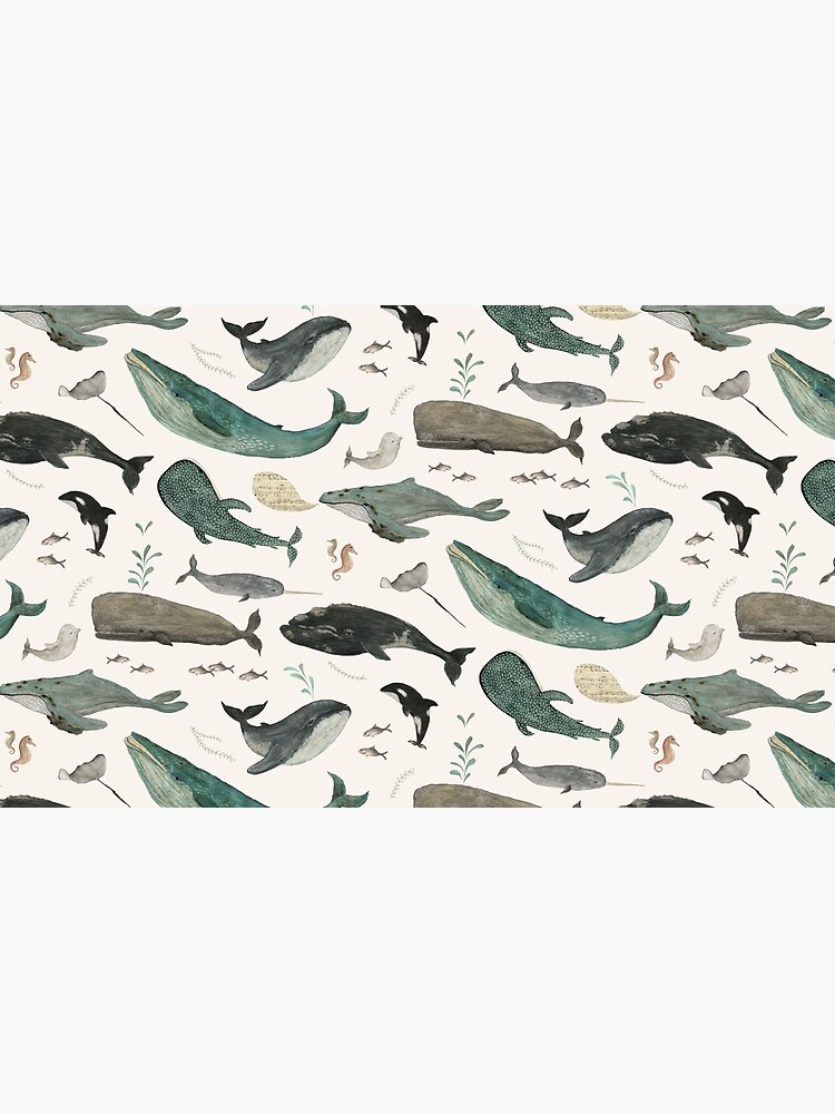 Whale Song by katherineq