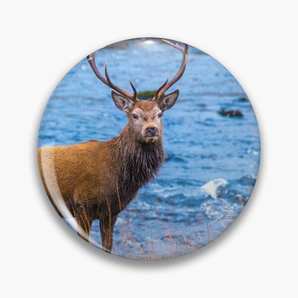 Item preview, Scotland Deer designed and sold by Adrian Alford Photography.
