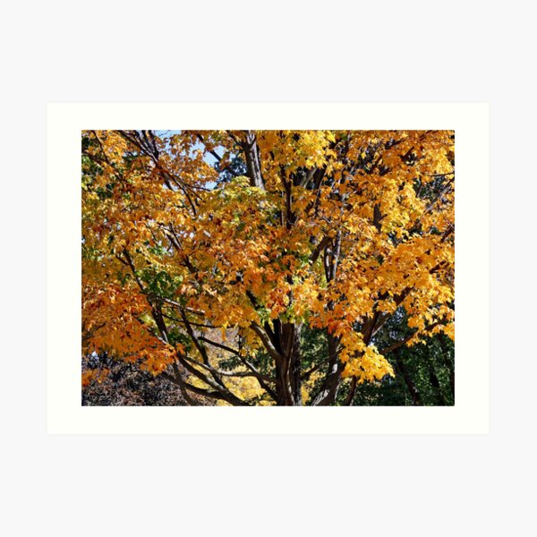 Autumn Art Print