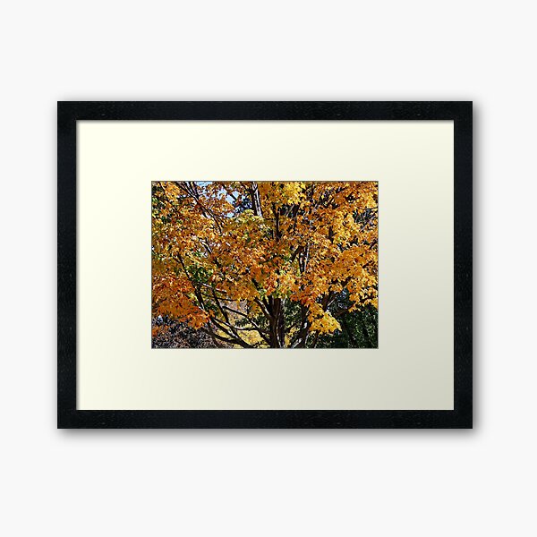 Autumn Framed Art Print
