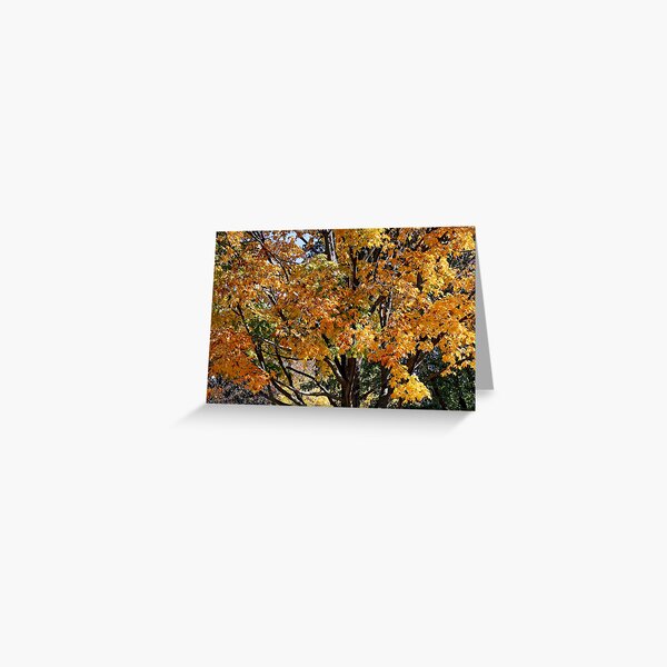 Autumn Greeting Card