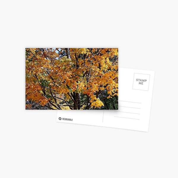 Autumn Postcard