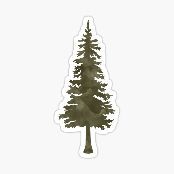 Watercolor Pine Tree Sticker