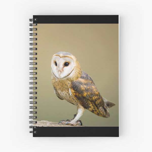 Item preview, Barn Owl T-shirt designed and sold by Mexikawaii.