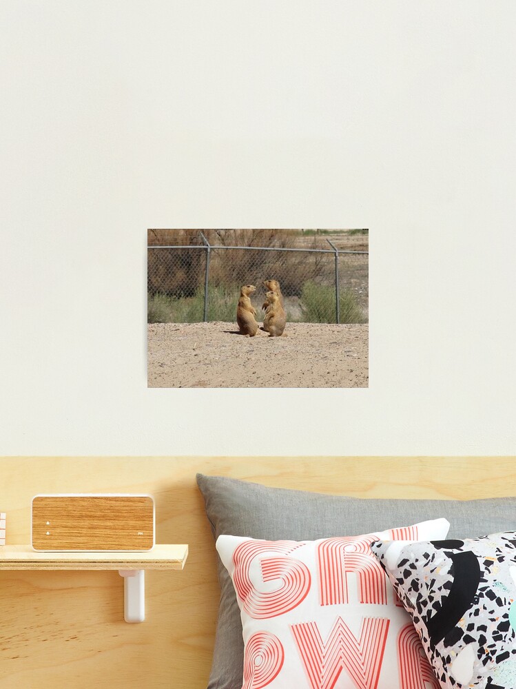 Thumbnail 1 of 3, Photographic Print, Alan Alan Steve Steve designed and sold by Visual Diversity.