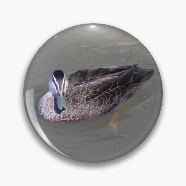 Item preview, 20190902 Duck, Mildura, Vic. designed and sold by muz2142.