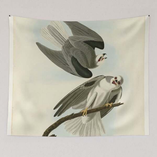 Item preview, 352 Black Winged Hawk designed and sold by Bird-Lore.