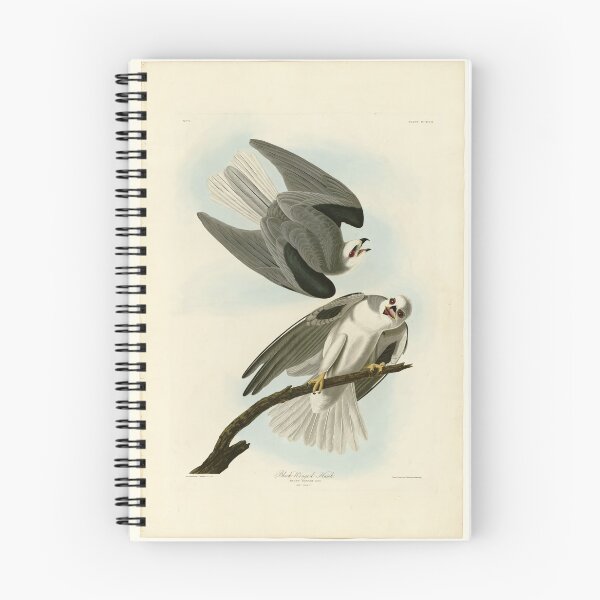 Item preview, 352 Black Winged Hawk designed and sold by Bird-Lore.