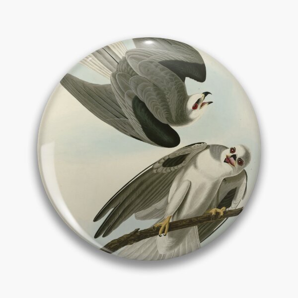 Item preview, 352 Black Winged Hawk designed and sold by Bird-Lore.
