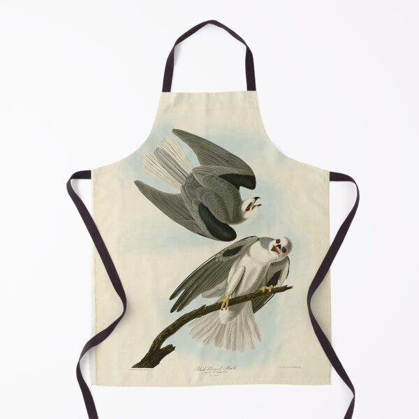 Item preview, 352 Black Winged Hawk designed and sold by Bird-Lore.